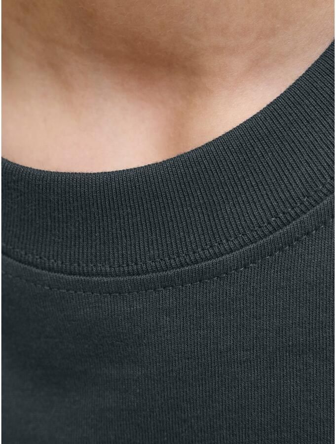 Jack & Jones Junior T-shirt JORNORREBRO EMB TEE SS CN NOOS JNR - Foto 2