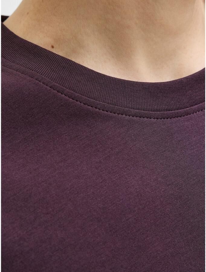 Jack & Jones Shirt met ronde hals JJESTAR met pigmentprint en katoengevoel