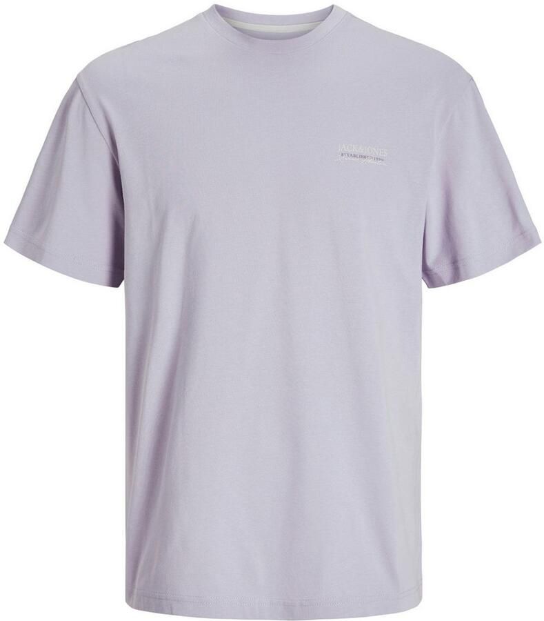 Jack & Jones Shirt met ronde hals JJSUMMER VIBES TEE SS CREW NECK LN