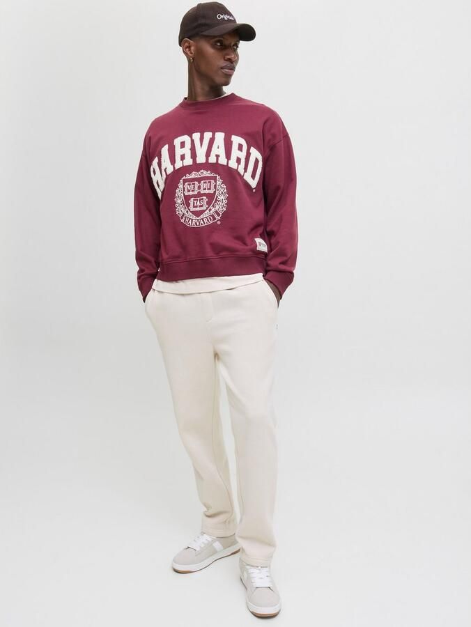 Jack & jones Regular fit sweatpants met tunnelkoord model 'KANE BRADLEY' - Foto 3