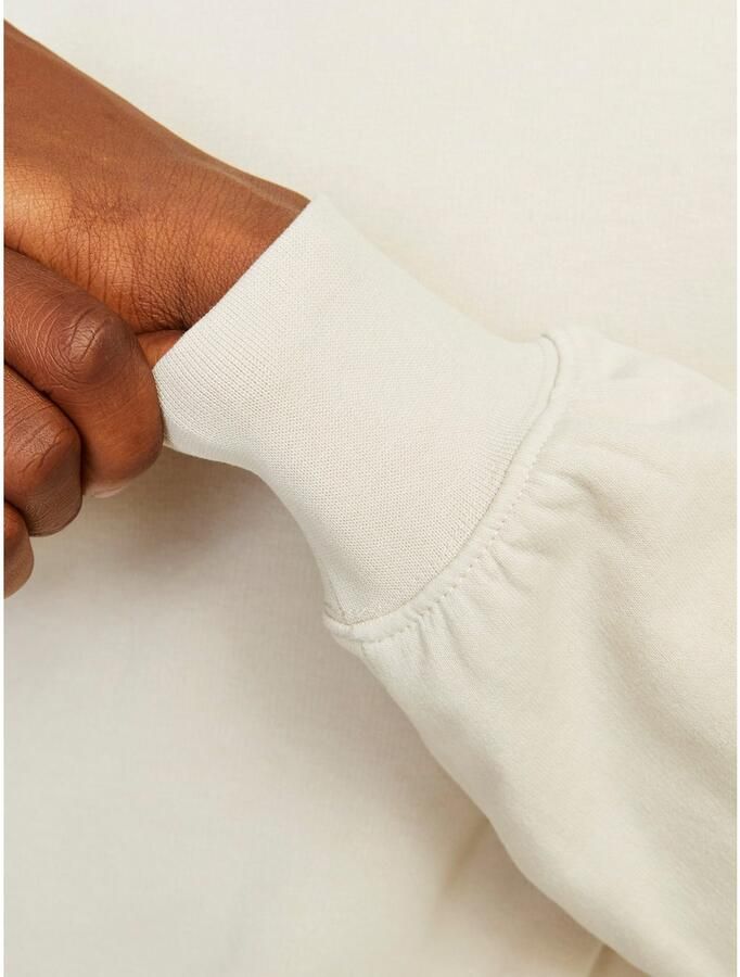 Jack & Jones Sweatshirt JJECHARGE SWEAT CREW NECK NOOS - Foto 2