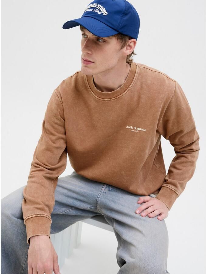 Jack & Jones Sweatshirt JJEDOVER PRINT SWEAT CREW NECK - Foto 4