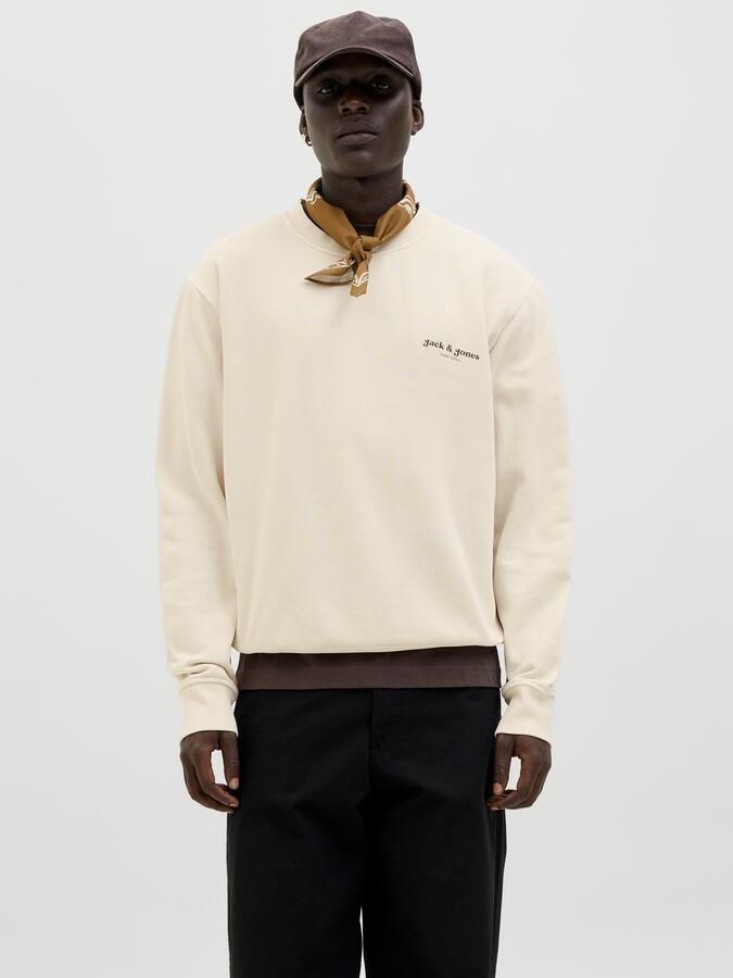 Jack & Jones Sweatshirt JJEDOVER PRINT SWEAT CREW NECK - Foto 10