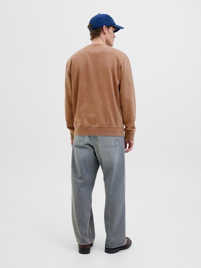 Jack & Jones Sweatshirt JJEDOVER PRINT SWEAT CREW NECK - Foto 6
