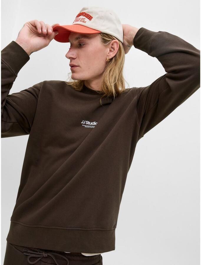 Jack & Jones Sweatshirt JJESOHO SWEAT CREW NECK NOOS
