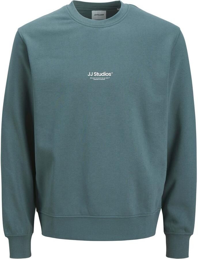 Jack & Jones Sweatshirt JJESOHO SWEAT CREW NECK NOOS