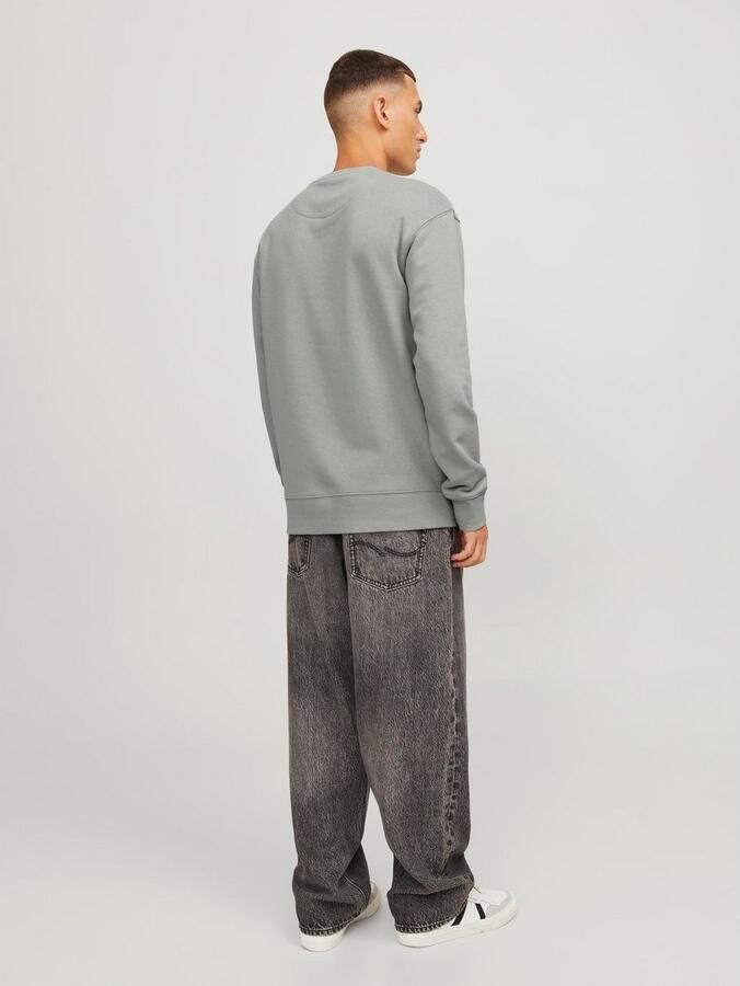 Jack & Jones Sweatshirt JJESTAR BASIC SWEAT CREW NECK NOOS - Foto 6