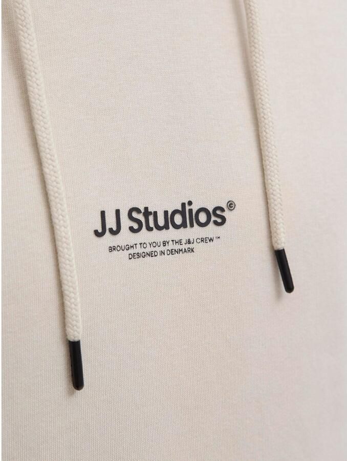 Jack & Jones PlusSize Hoodie JJESOHO SWEAT HOOD NOOS PLS - Foto 3