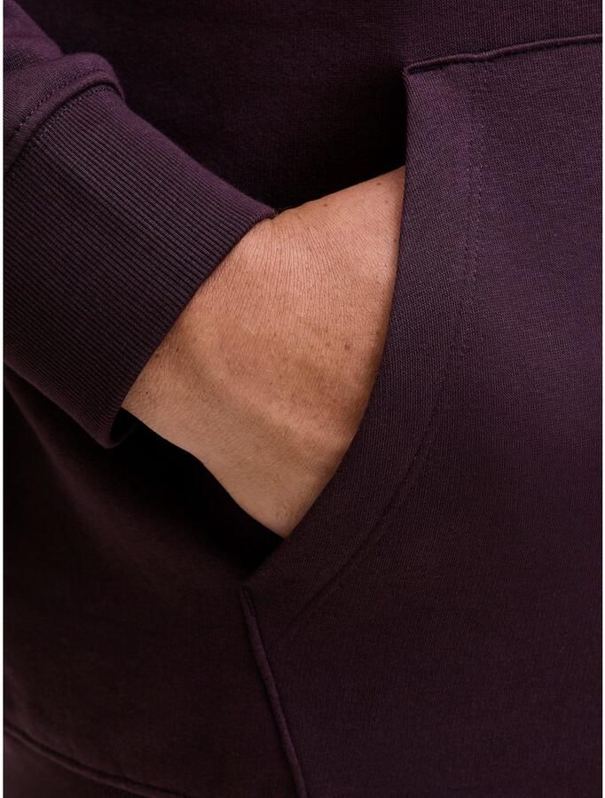 Jack & Jones PlusSize Hoodie JJESTAR JJ SWEAT HOOD NOOS PLS - Foto 3