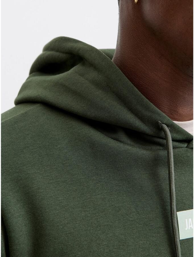 Jack & Jones Hoodie JJPAN SWEAT HOOD