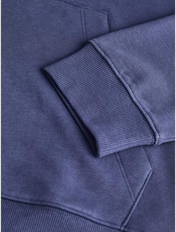 Jack & Jones Hoodie JORINWOOD BLOCK BRANDING SWEAT HOOD - Foto 2