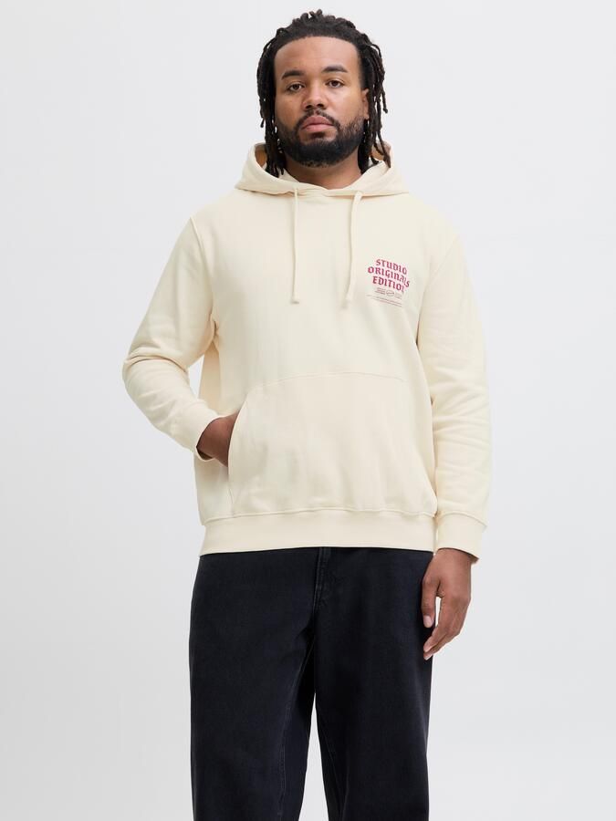 Jack & Jones PlusSize Hoodie JORMEADOWS SWEAT HOOD PLS - Foto 10