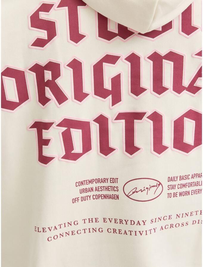 Jack & Jones PlusSize Hoodie JORMEADOWS SWEAT HOOD PLS