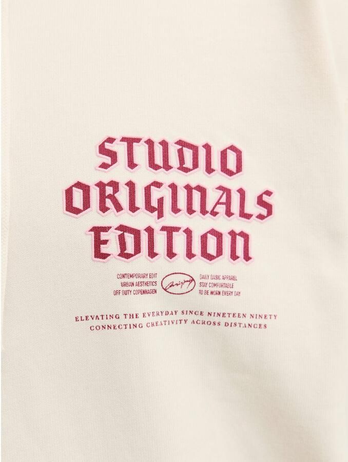 Jack & Jones PlusSize Hoodie JORMEADOWS SWEAT HOOD PLS - Foto 5