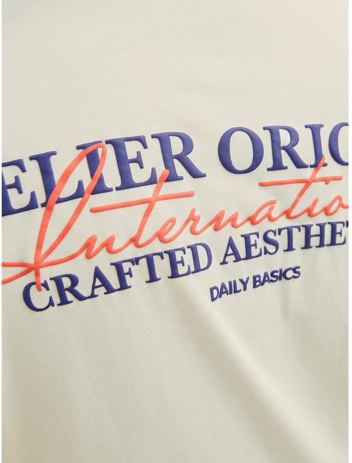 Jack & Jones PlusSize Shirt met korte mouwen JORISLINGTON TYPE TEE SS CREW NECK PLS - Foto 8