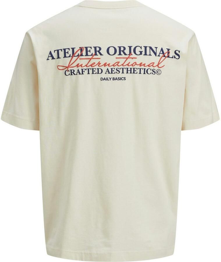 Jack & Jones Junior T-shirt JORISLINGTON TYPE TEE SS CREW N. SN JNR