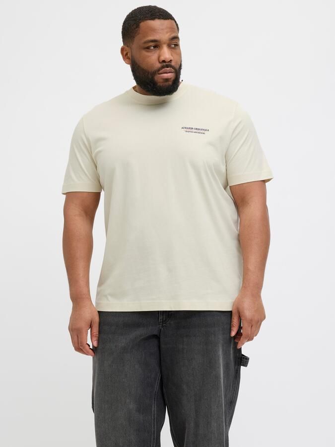 Jack & Jones PlusSize Shirt met korte mouwen JORISLINGTON TYPE TEE SS CREW NECK PLS - Foto 7