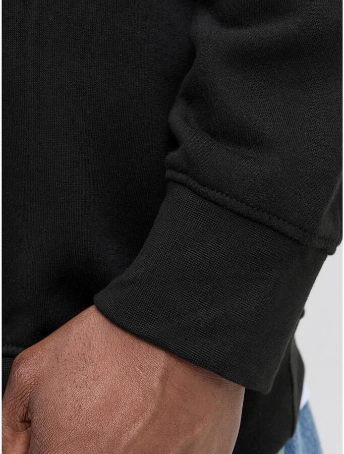 Jack & Jones PlusSize Sweatshirt JJESOHO SWEAT CREW NECK NOOS PLS