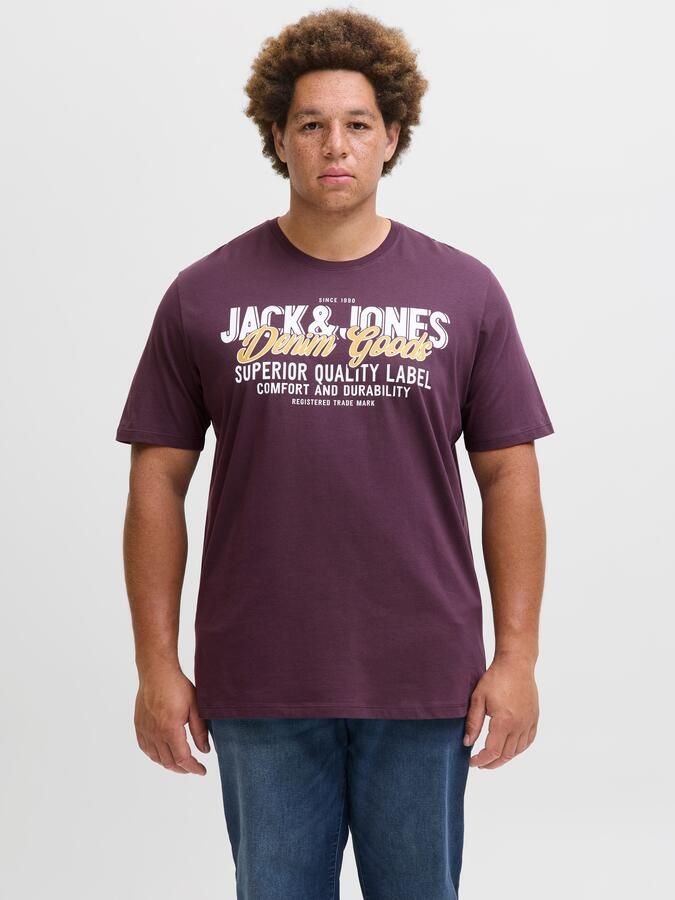 Jack & Jones PlusSize T-shirt JJELOGO TEE SS ONECK 2 COL AW25 NOOS PLS - Foto 9