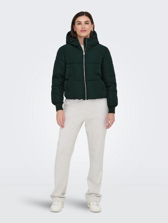 JDY Gewatteerde jas NEWERICA LIFE SHORT HOOD JKT OTW NOOS - Foto 3