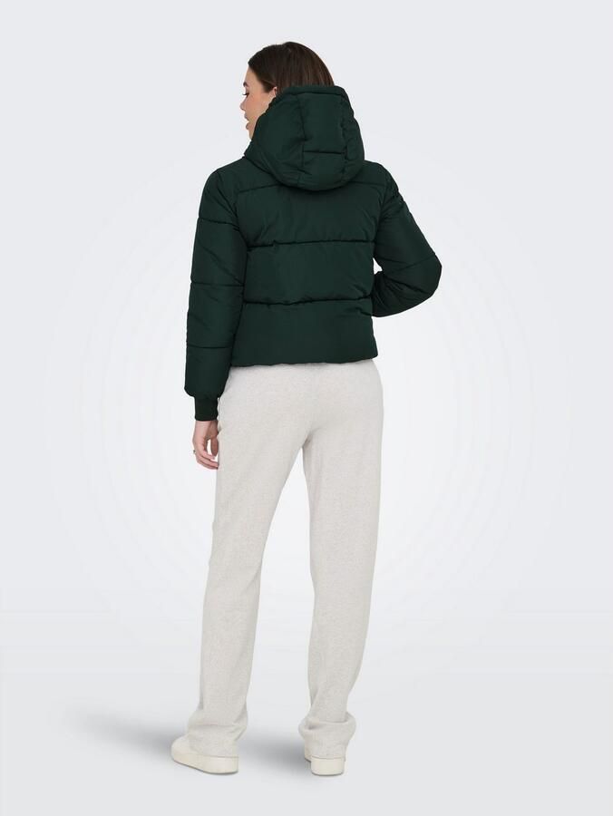 JDY Gewatteerde jas NEWERICA LIFE SHORT HOOD JKT OTW NOOS - Foto 4