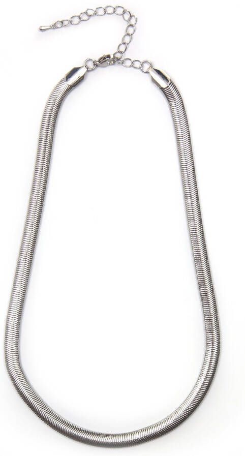 Firetti Collier Halsketting visgraat schakels
