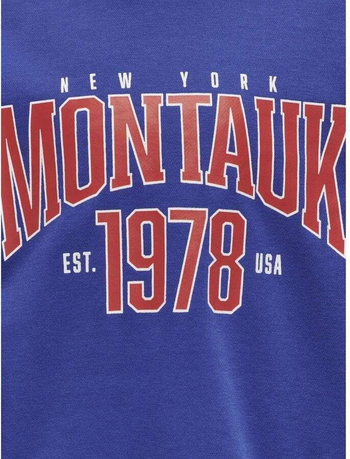 KIDS ONLY Sweatshirt KOGAILEN L S PRINT O-NECK UB LIFE SWT