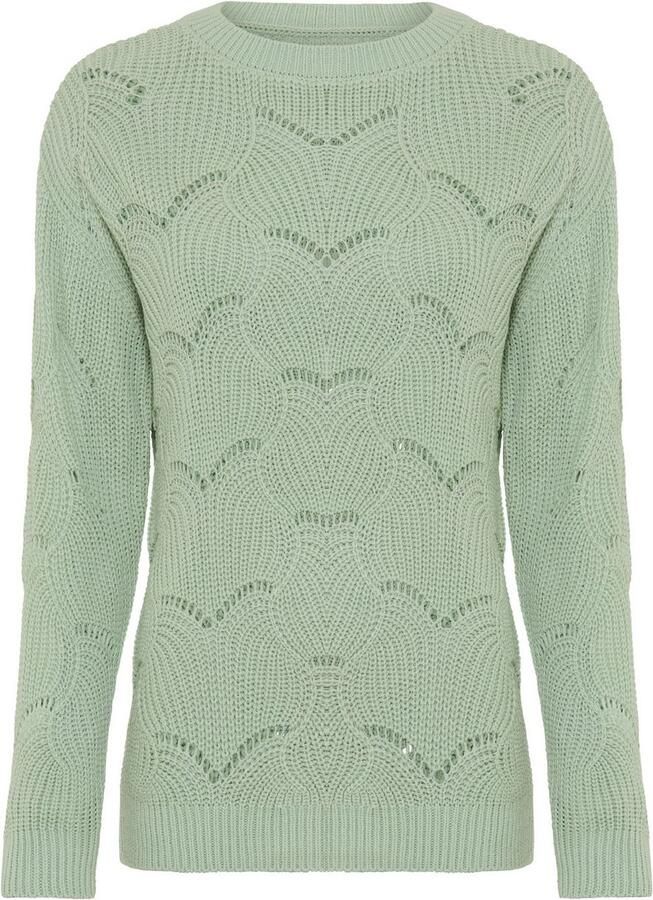 Laura Scott Ajourtrui zachte overgangsbreisel met ronde hals en trendy gaatjespatroon