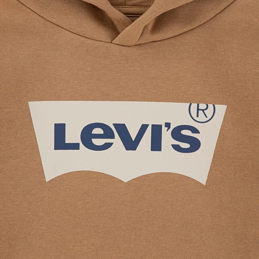 Levi's Kidswear Hoodie LVB BATWING PULLOVER HOODIE