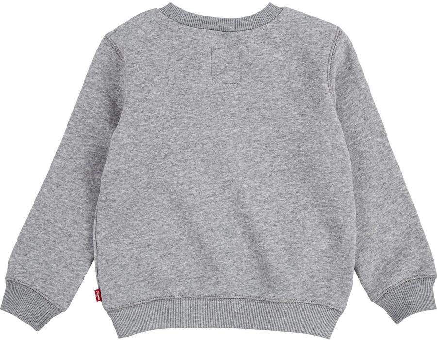 Levi's Kidswear Sweatshirt LVB FRENCH TERRY BATWING