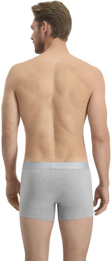 Levi's Boxershort LEVIS MEN MEL WB BOXER BRIEF ORG CO 2P (Set van 2) - Foto 6