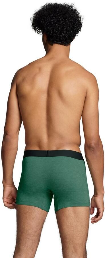 Levi's Boxershort LEVIS MEN OPT ILL BOXER BRIEF ORG CO 2P Elastische logotailleband zonder opening (Set van 2) - Foto 4