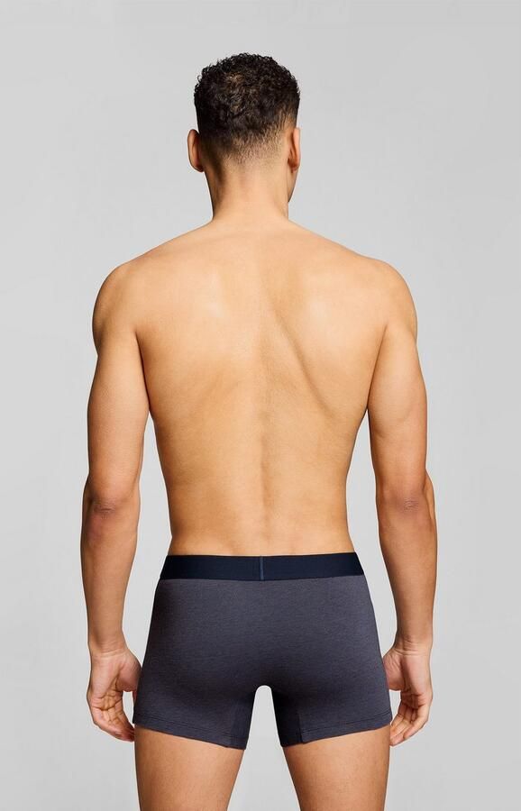 Levi's Boxershort LEVIS MEN OPT ILL BOXER BRIEF ORG CO 2P (Set van 2) - Foto 6