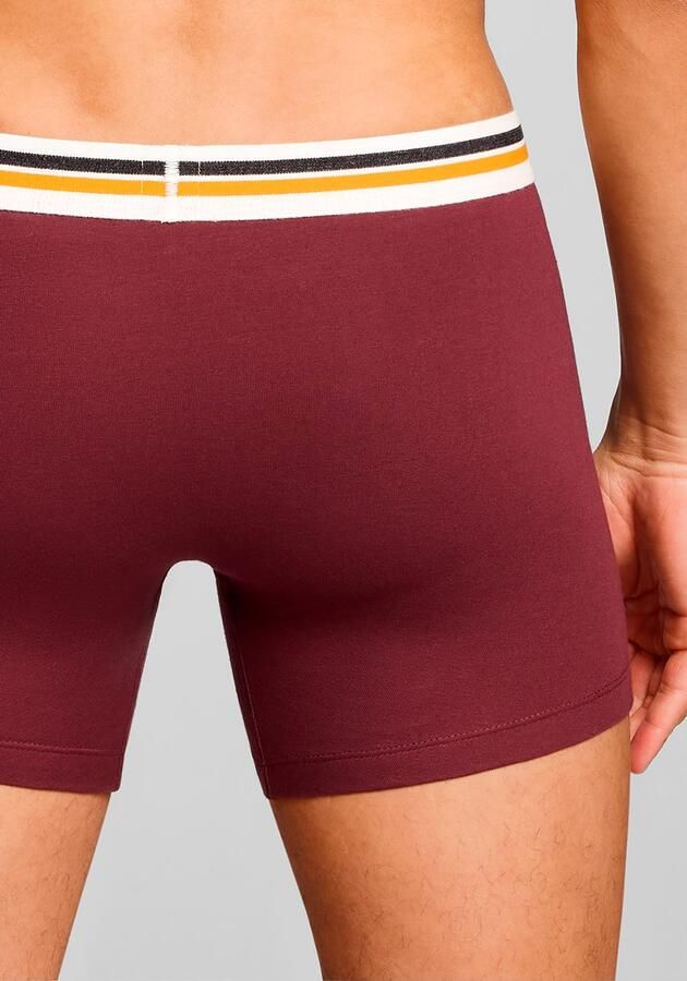 Levi's Boxershort LEVIS MEN PL SPW LOGO BOXER BRIEF ORG 2P (Set van 2)