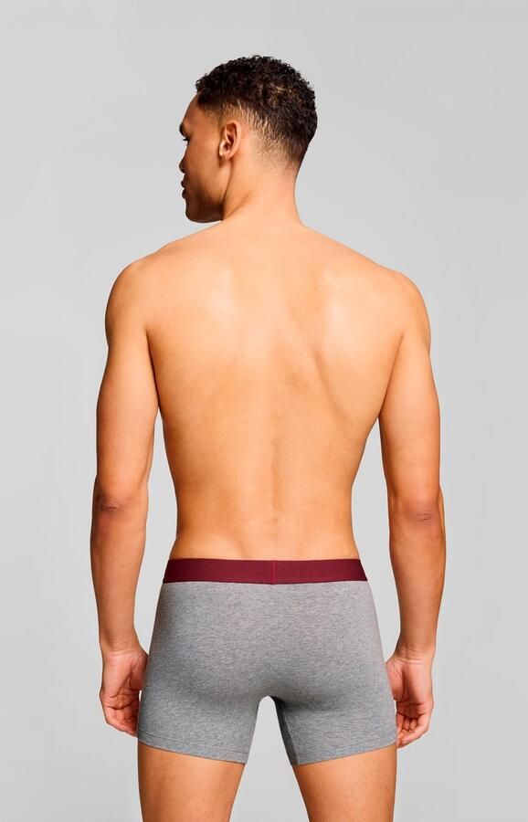 Levi's Boxershort LEVIS MEN SLD BASC BOXER BRIEF ORG CO 2P (Set van 2) - Foto 7