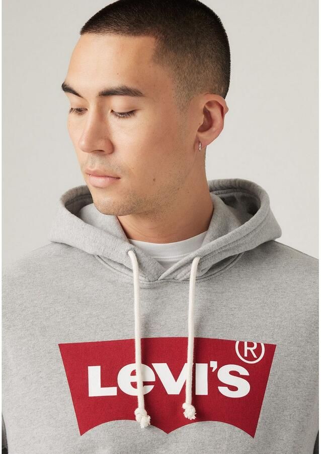 Levi's Sweater Levis STANDARD GRAPHIC HOODIE