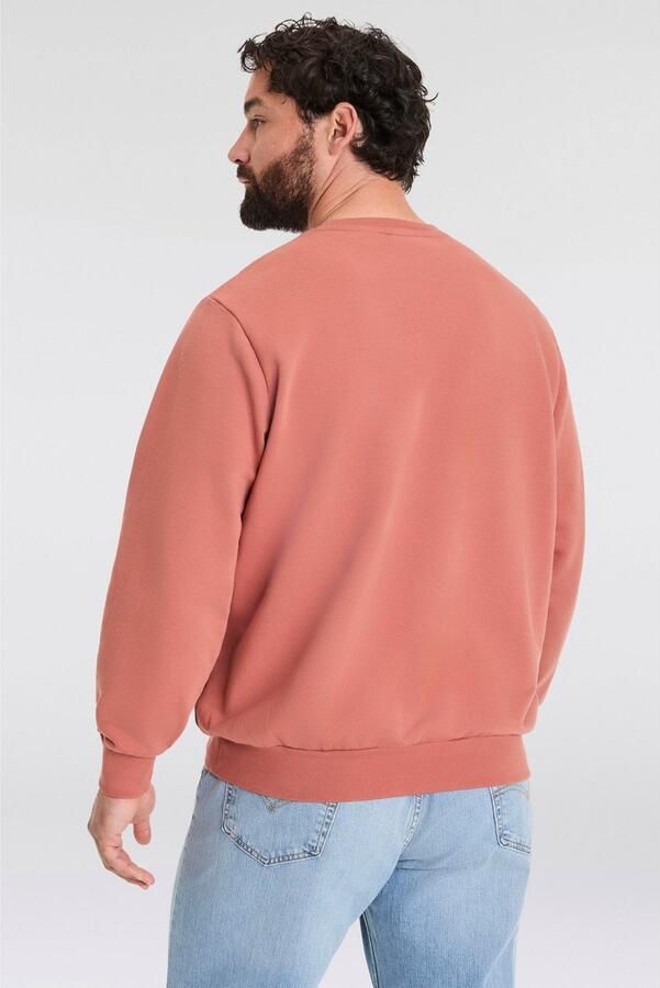Levi's Plus Levi's Plus Sweatshirt BIG ORIGINAL HM CREW met batwing-logobadge - Foto 4