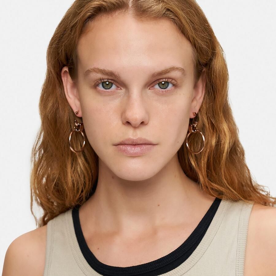 Liebeskind Berlin Paar creolen Sieraden cadeau roestvrijstalen oorbellen The D-Link State t