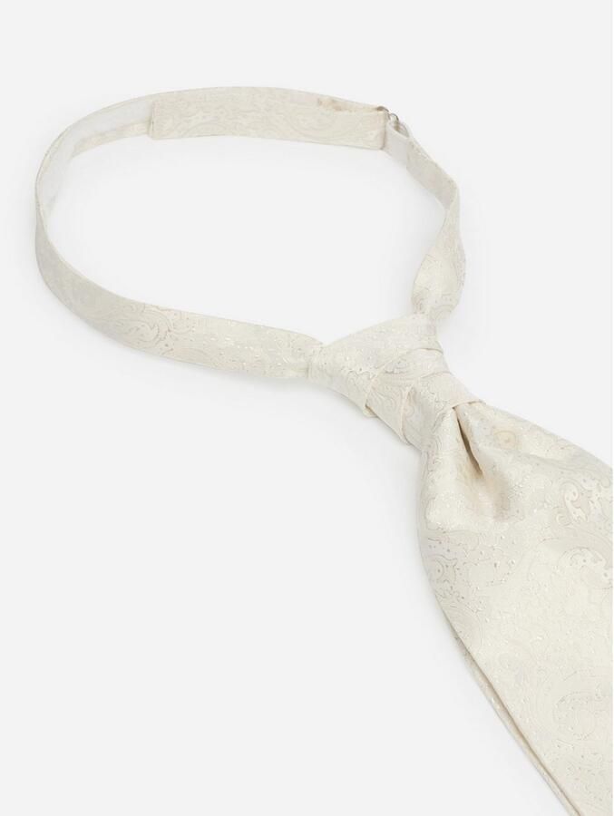 MONTI Stropdas ALESSIO Huwelijks-plastron met feestelijk paisley-patroon