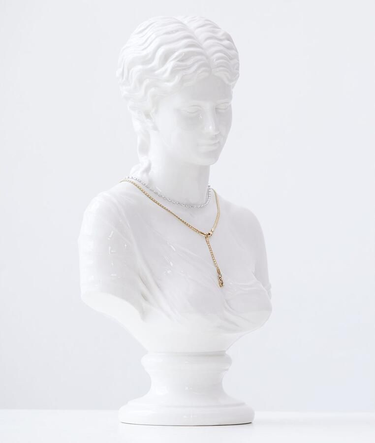 Mustang Ketting met hanger Sieraad Geschenk Roestvrijstalen Ketting The Sleek One - Foto 4