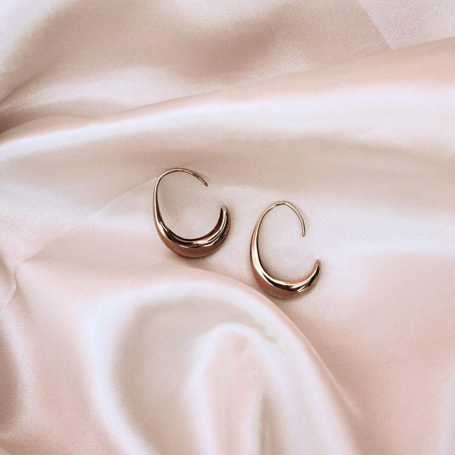 Mustang Paar creolen Sieraad Geschenk Roestvrijstalen Oorbellen The Classy Drop