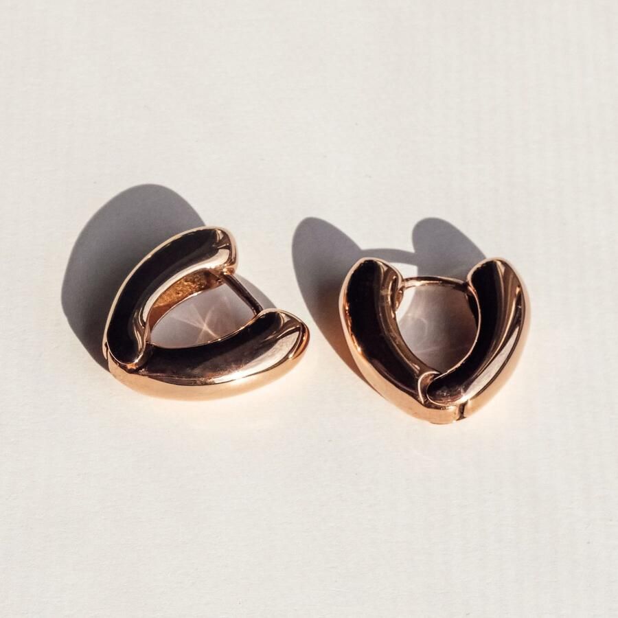 Mustang Paar creolen Sieraad Geschenk Roestvrijstalen Oorbellen The Modern Basic