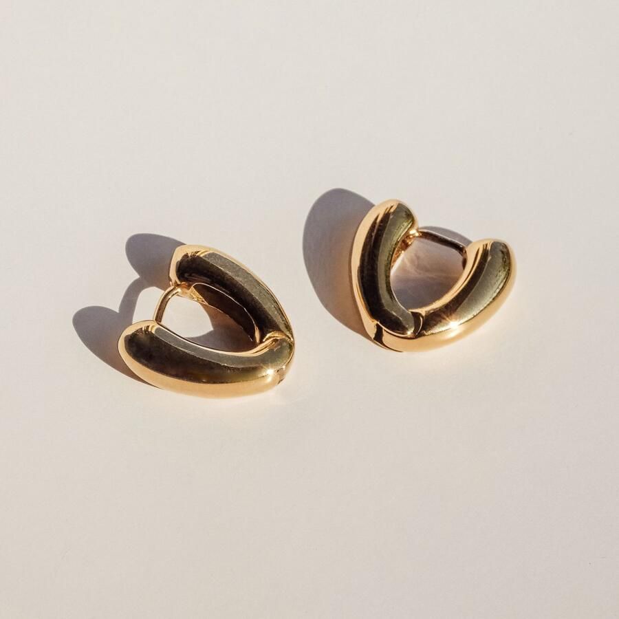 Mustang Paar creolen Sieraad Geschenk Roestvrijstalen Oorbellen The Modern Basic