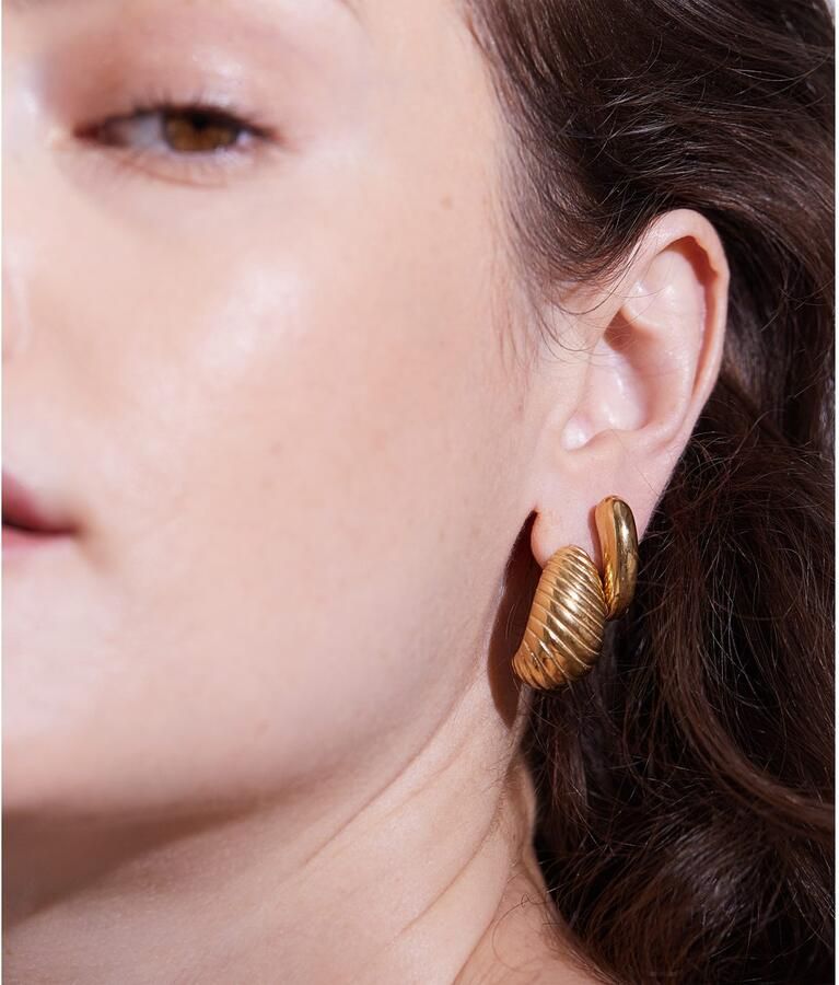 Mustang Paar creolen Sieraad Geschenk Roestvrijstalen Oorbellen The Organic Drop - Foto 4