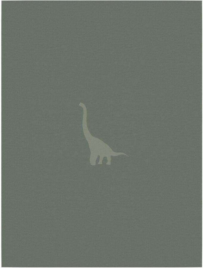 Name It Body met lange mouwen NBMBODY 3P LS GREEN DINO NOOS (set 3-delig) - Foto 3