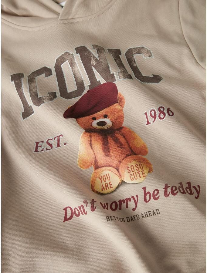 Name It Hoodie NKFRYCCA LS NREG SWEAT WH BRU BOX