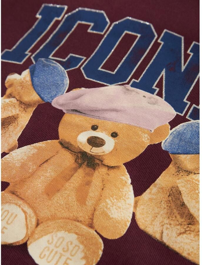 Name It Hoodie NKFRYCCA LS NREG SWEAT WH BRU BOX