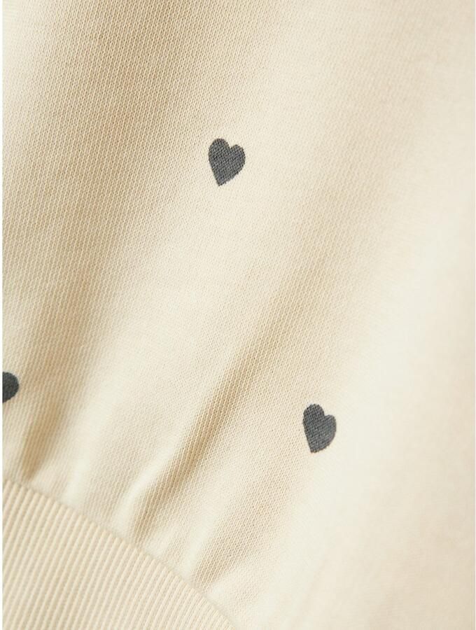 Name It Sweatshirt NMFVALBA – Sweater met hartjes-alloverprint en ribboorden