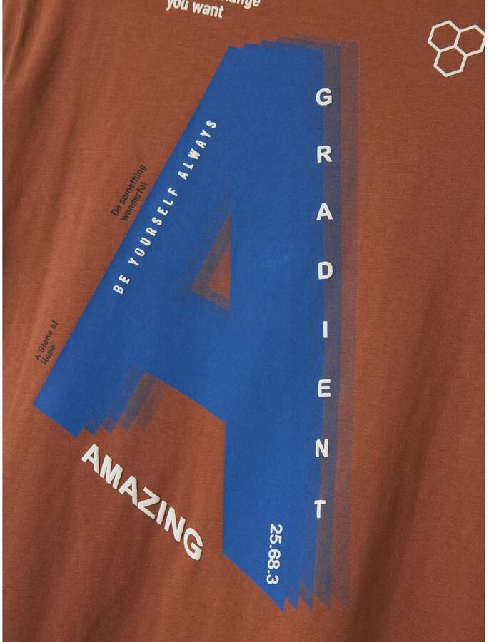 Name It T-shirt NKMOAKLEY SS NREG TOP BF