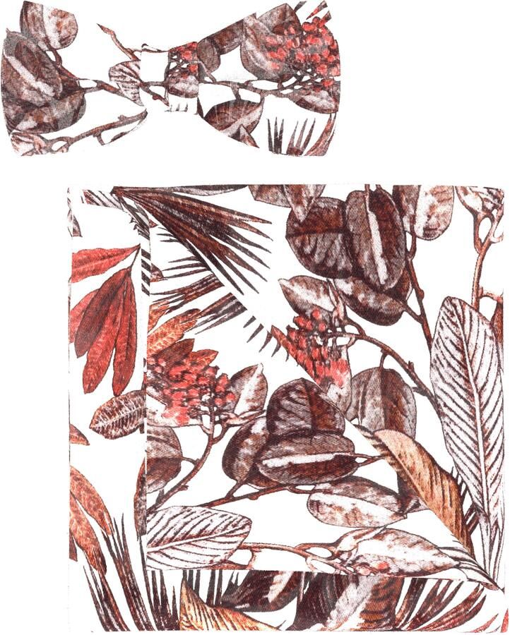 OLYMP Vlinderdasje (set)